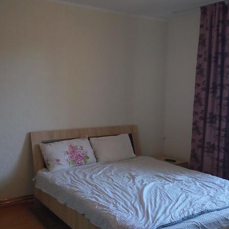 Central Apartment 2 Timişoara Eksteriør billede